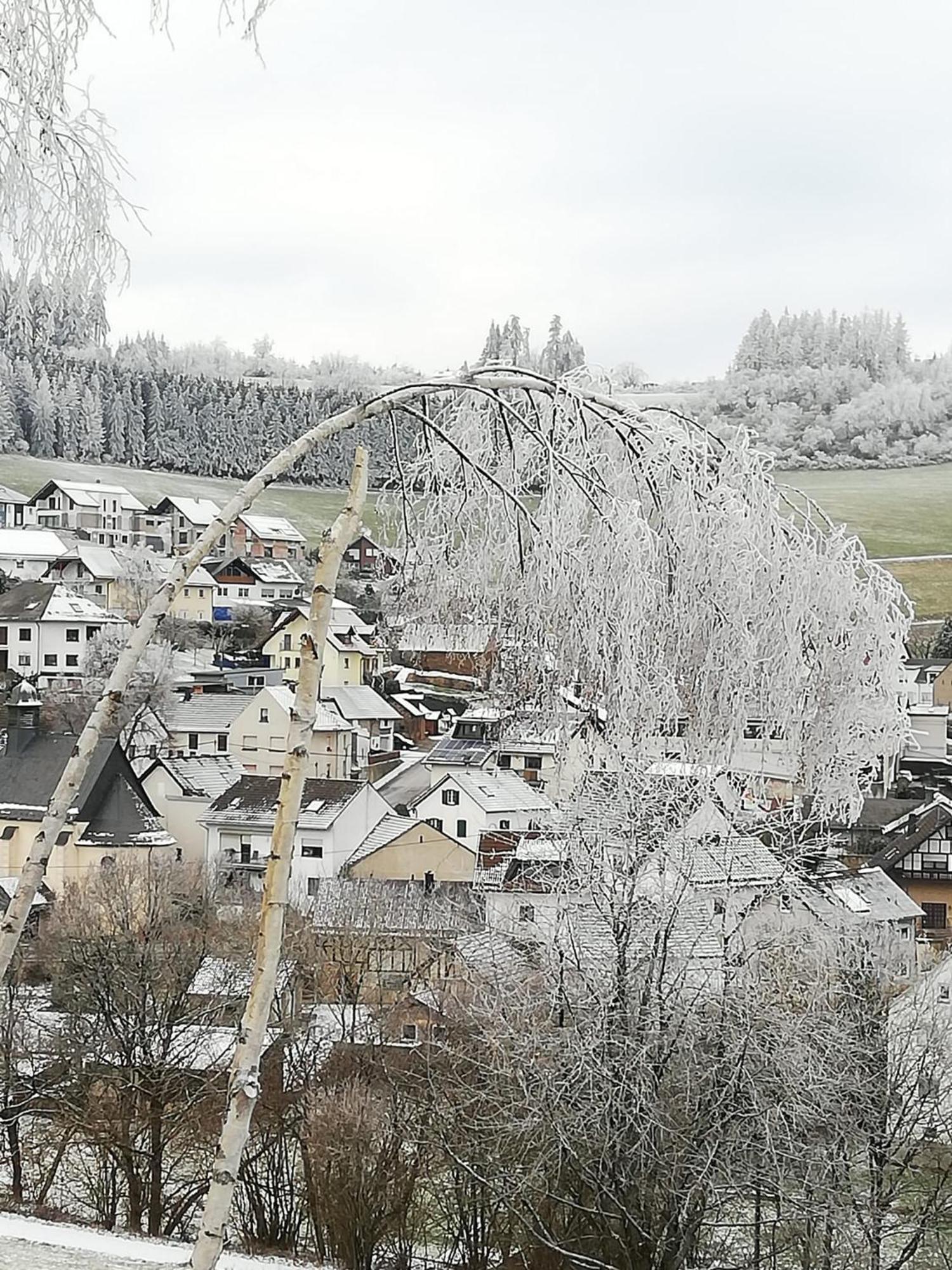 Am Lindenbaum, Ferienwohnung In Siebenbach Am Nuerburgring Exteriér fotografie