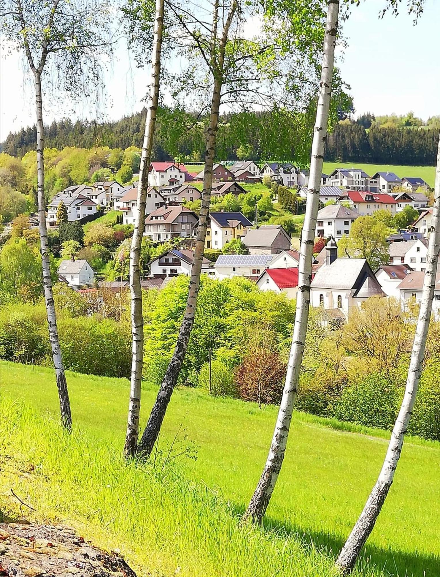 Am Lindenbaum, Ferienwohnung In Siebenbach Am Nuerburgring Exteriér fotografie