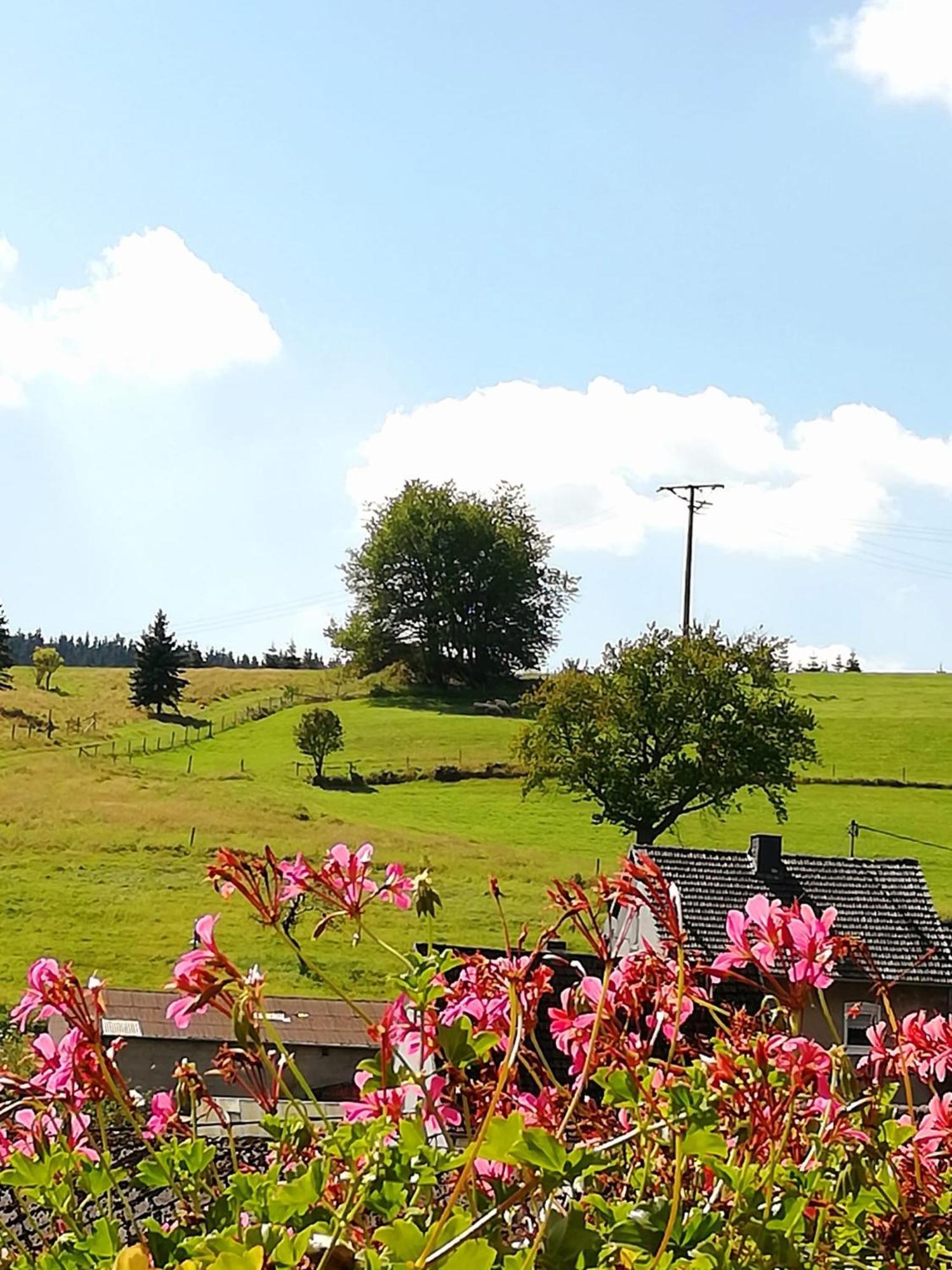 Am Lindenbaum, Ferienwohnung In Siebenbach Am Nuerburgring Exteriér fotografie