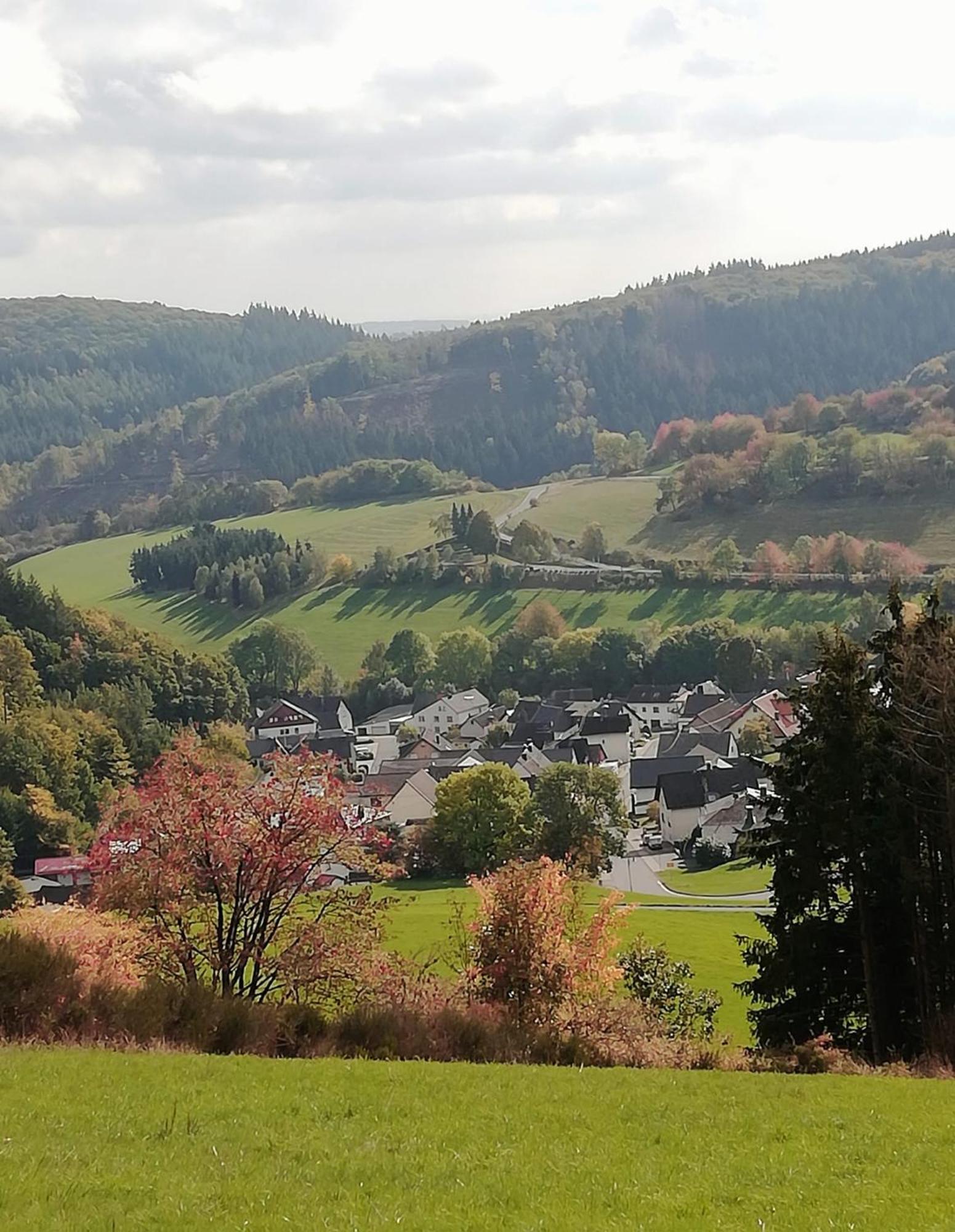 Am Lindenbaum, Ferienwohnung In Siebenbach Am Nuerburgring Exteriér fotografie